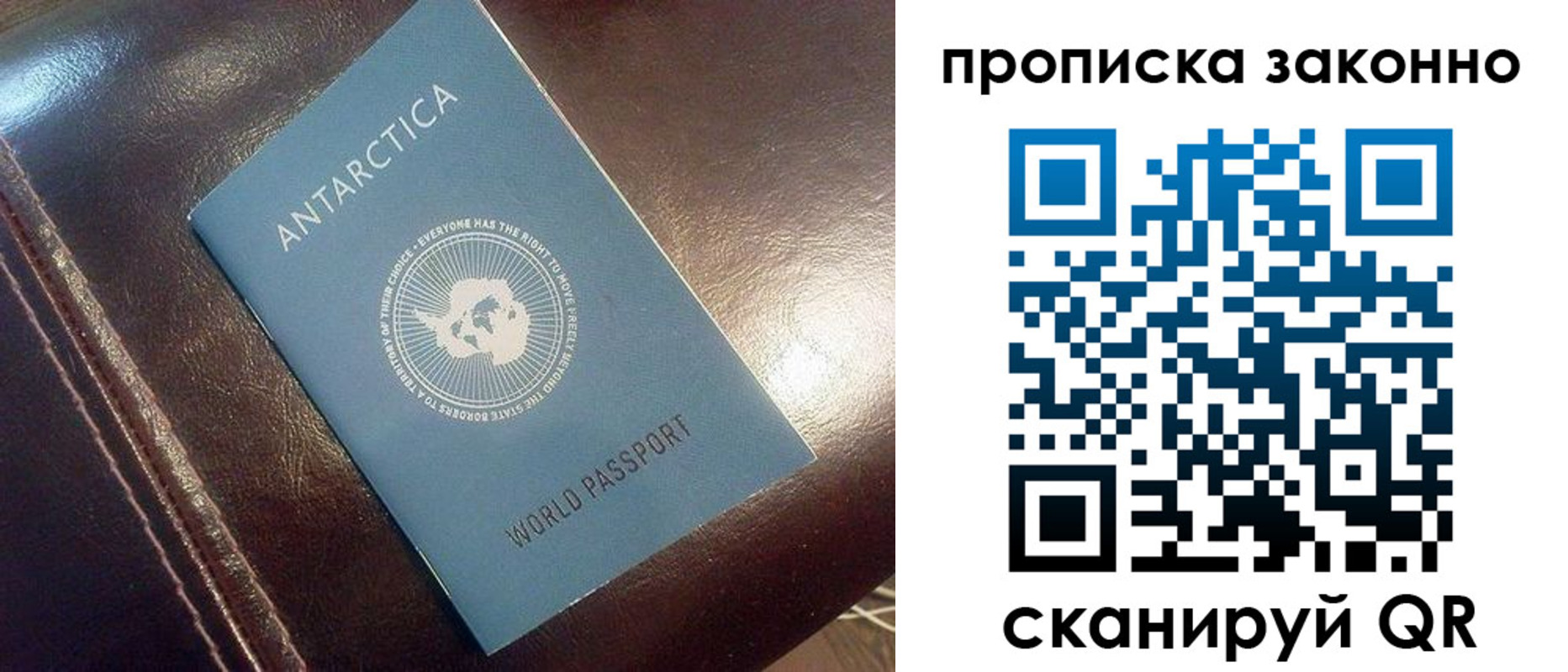 временная регистрация в Дмитрове